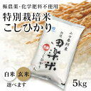 18位! 口コミ数「0件」評価「0」D176「田楽米」コシヒカリ5kg≪エコやまぐち50認証取得≫