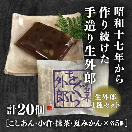 D-048【ふるさと納税】4種類の生外郎20個セットのサムネイル