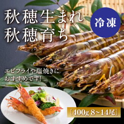 D238【ふるさと納税】秋穂産活き〆冷凍あいおえび400g（8～14尾）【養殖】