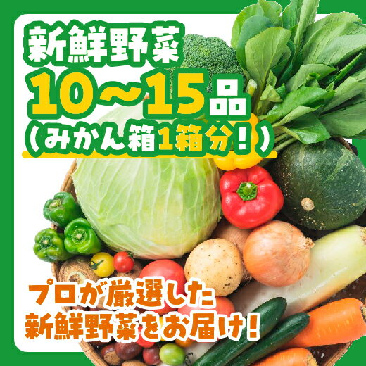 D196【ふるさと納税】ぶちうま 山口の新鮮お野菜BOX