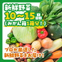 D196【ふるさと納税】ぶちうま 山口の新鮮お野菜BOX