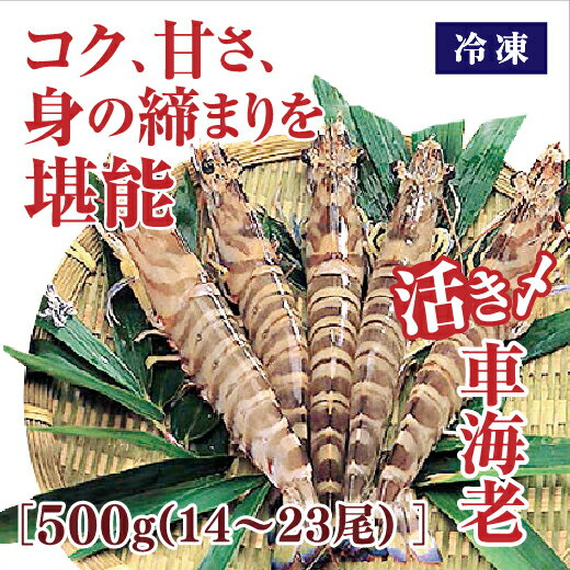 D-188【ふるさと納税】活き締め冷凍車えび500gのサムネイル
