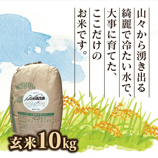 D138しのめ清流米玄米10kg
