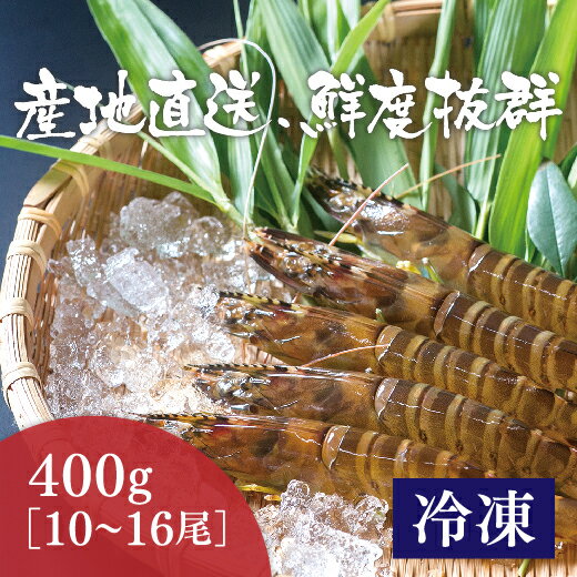 D-244【ふるさと納税】活き締め冷凍あいおえび 400g（10～16尾）