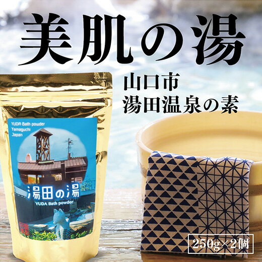 D194【ふるさと納税】温泉の素「湯田の湯」（250g×2個