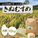 D032あいお（秋穂）で育ったお米　きぬむすめ　白米10kg