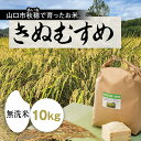 D-333【ふるさと納税】あいお（秋穂）で育ったお米　きぬむすめ　無洗米10kg