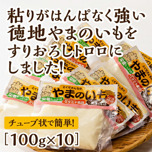 29位! 口コミ数「2件」評価「3.5」D020徳地やまのいものすりおろしトロロ　100g×10個