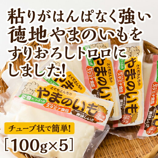 ・寄付申込みのキャンセル、返礼品の変更・返品はできません。あらかじめご了承ください。 ・ふるさと納税よくある質問はこちら 商品説明 名称徳地やまのいものすりおろしトロロ 内容量100g×5個 原材料名徳地やまのいも 配送・保存方法冷凍 賞味期限3ヶ月 詳細 チューブ状で簡単にお召し上がりいただけます。 粘りがはんぱなく強い徳地やまのいもをすりおろしトロロにしました。 徳地やまのいもは、さまざまな酵素を含み、特にアミラーゼが豊富なため、消化効果も抜群です。チューブ容器に入ってますので、すぐに簡単にお召し上がりいただけます。 とろろいも、煮物、揚げ物など、さまざまな調理法でおいしくいただけます。滋養強壮に効くといわれるスタミナ料理としても人気です。 年末年始等繁忙期は発送に時間を要する可能性があります。ご了承ください。 事業者徳地やまのいも生産組合加工部山口県山口市徳地1565-1（徳地特産品販売所南大門内） [ふるさと納税 とろろ][ふるさと納税 トロロ][ふるさと納税 やまいも][ふるさと納税 ヤマイモ][ふるさと納税 やまのいも][ふるさと納税 ヤマノイモ][ふるさと納税 やまのいも][ふるさと納税 山の芋][ふるさと納税 山芋][ふるさと納税 やまいも とろろ][ふるさと納税 やまいも トロロ][ふるさと納税 ヤマイモ とろろ][ふるさと納税 ヤマイモ トロロ][ふるさと納税 山芋 とろろ][ふるさと納税 山芋 トロロ][ふるさと納税 とろろ すりおろし][ふるさと納税 トロロ すりおろし][ふるさと納税 やまいも すりおろし][ふるさと納税 ヤマイモ すりおろし][ふるさと納税 やまのいも すりおろし][ふるさと納税 ヤマノイモ すりおろし][ふるさと納税 やまのいも すりおろし][ふるさと納税 山の芋 すりおろし][ふるさと納税 山芋 すりおろし]寄付金の使い道について (1) 文化・観光・スポーツ資源を活かした「元気な県都づくり」 (2) 産業活力・雇用を創出する「若者活躍と雇用創出の環境づくり」 (3) 安心の子育て環境を整える「子ども・子育て全力応援のまちづくり」 (4) デジタル化や脱炭素の推進による「接続可能な未来都市づくり」 (5) 生涯にわたって元気に暮らせる「人生100年時代の元気活躍のまちづくり」 (6) まちづくり全体への支援 受領証明証及びワンストップ特例申請書について ■受領書・入金確認後、注文内容確認画面の【注文者情報】に記載の住所に1〜2週間で発送いたします。 ■ワンストップ特例申請書・入金確認後、注文内容確認画面の【注文者情報】に記載の住所に1〜2週間で発送いたします。 ■ワンストップ特例申請書の送付先 〒753-8650 山口県山口市亀山町2−1 【申請書送付時に必要な書類】 ・ワンストップ特例申請書 (市町村民税・道府県民税 寄付金税額控除に係る申告特例申請書) ・個人番号確認書類 ・本人確認書類 ※記入方法など、詳しくはこちらをご覧ください。↓ https://event.rakuten.co.jp/furusato/guide/onestop.html