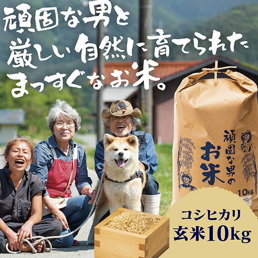 D505【ふるさと納税】頑固な男のお米（コシヒカリ）玄米10kg