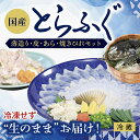 D-362【ふるさと納税】冷凍せずに”生のまま”お届け！新鮮とらふぐ刺身（薄造り・皮・あら・焼ひれセット）