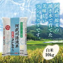 D391【ふるさと納税】 阿武川源流米コシヒカリ白米10kg