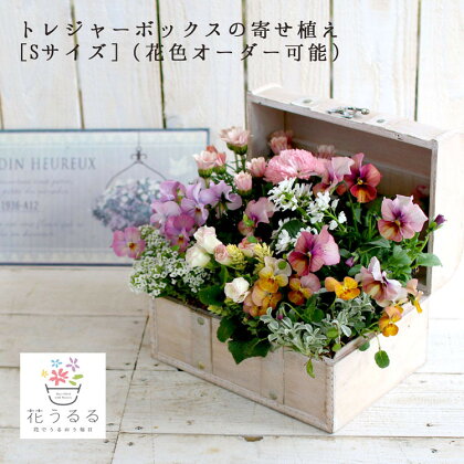 D015花うるるのおまかせ寄せ植え「トレジャーBOX」Sサイズ～季節の花をアレンジ