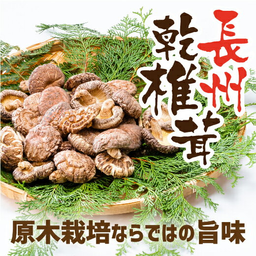 E046長州乾椎茸セット(ホール35g×2袋+スライス28g×1袋)