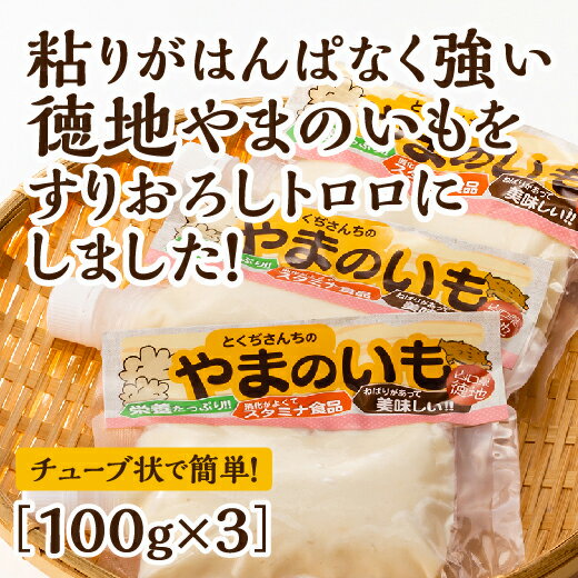 E022【ふるさと納税】徳地やまのいものすりおろしトロロ　100g×3個 1