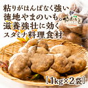 D213【ふるさと納税】徳地やまのいも1kg袋(ご家庭用)×2袋