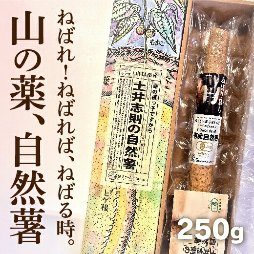 その他野菜(山芋・自然薯)人気ランク16位　口コミ数「0件」評価「0」「E023【ふるさと納税】【山薬王】命の根っこですから。最高級無農薬有機JAS自然薯真空保存」