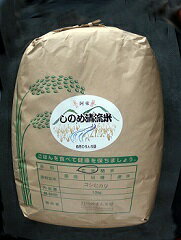 C047【ふるさと納税】しのめ清流米玄米30kg