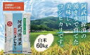 A094【ふるさと納税】 【定期便】阿武川源流米コシヒカリ白米60kg(5kg×12回)
