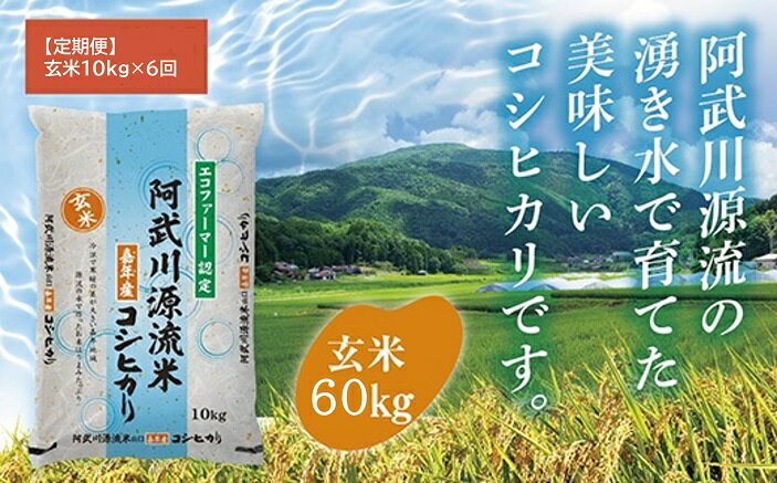 楽天市場】玄米 60k(玄米|米・雑穀):食品の通販 楽天市場】玄米 60k(玄米|米・雑穀):食品の通販