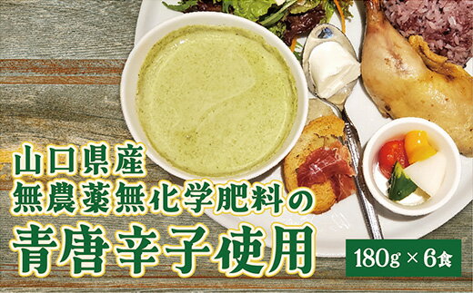 D129クリーミーグリーンカレー6食セット