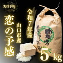 D397【ふるさと納税】 農家直送!山口市産新米「恋の予感」精米5kg
