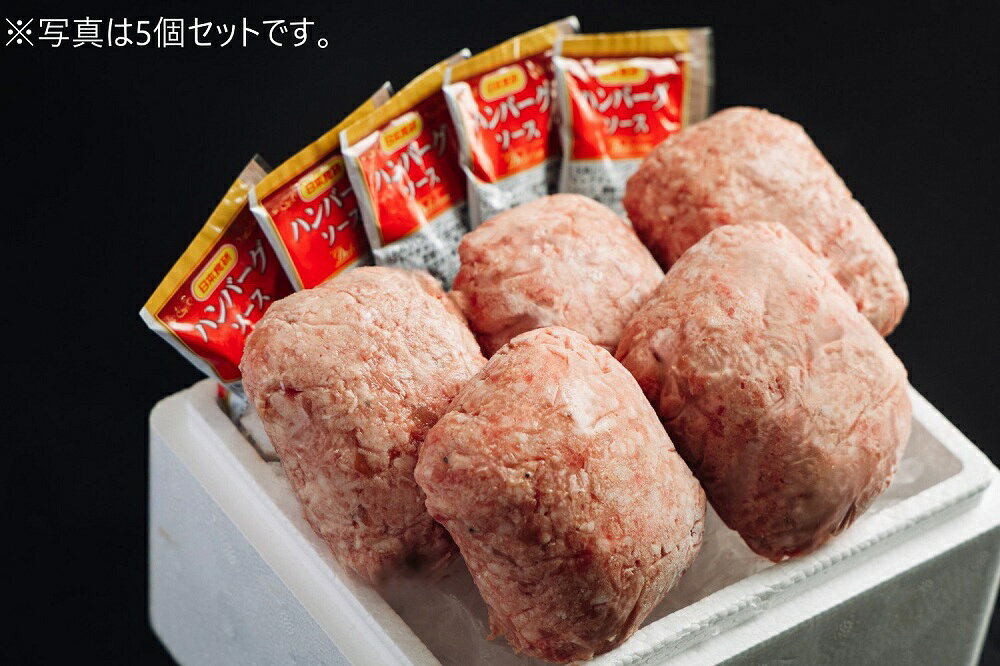 D560【ふるさと納税】 山口県産黒毛和牛「阿知須黒牛」ハンバーグ10個