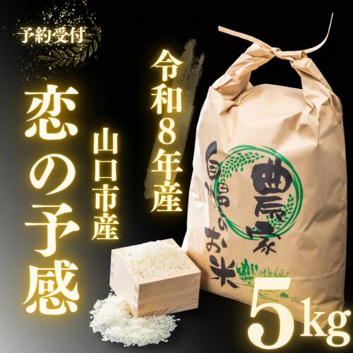 D566【ふるさと納税】 農家直送！山口市産 新米 「恋の予感」精米5kg