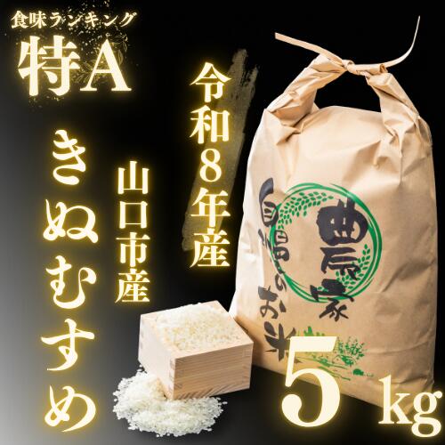 D570【ふるさと納税】 農家直送！山口市産 新米 「きぬむすめ」精米5kg