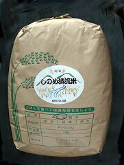 D-213【ふるさと納税】しのめ清流米玄米10kg