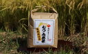 【ふるさと納税】自然栽培 むつみ男米 玄米 5kg