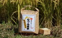 【ふるさと納税】自然栽培 むつみ男米 白米 10kg