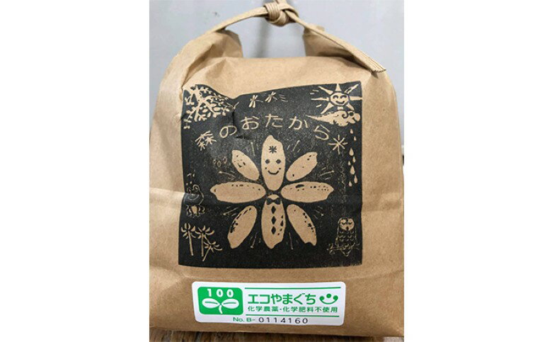 [352047000417]米 白米 10kg 自然栽培米 朝日 山口県産 コメ 米 精米