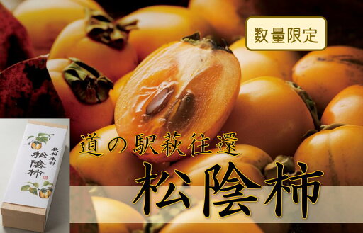 【ふるさと納税】150年の時を超えた/松陰柿 【ふるさと納税】150年の時を超えた/松陰柿