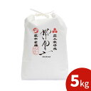 【ふるさと納税】コシヒカリ 5kg 紫雲 野菜ソムリエ プロselect 萩のお米 萩市 紫福産 米 お米 白米