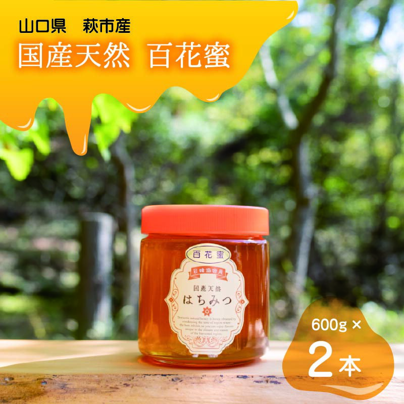ڤդ뤵Ǽǡ۽ŷ ɴ֤Ϥߤ 600g2