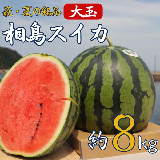 スイカ 約8kg 萩・夏の銘品 相島 西瓜 秀品 大玉すいか フルーツ 果物 果物類 贈答品 ギフト
