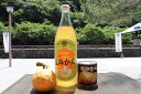 【ふるさと納税】みかん 加工品 セット 萩名産 夏みかん マーマレード 370g×5個 & 夏みかん ジュース 900ml×2本 柑橘類