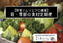 【ふるさと納税】野菜ソムリエプロselect/萩・季節の食材定期便