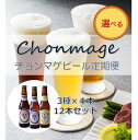 【ふるさと納税】萩の地ビールを堪能!/選べるチョンマゲビール定期便(4)