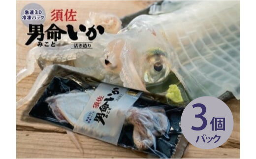 ڤդ뤵ǼǡۼƩƸܺ̿λ¤ʻɿȡüѡ3Dץѥå 3