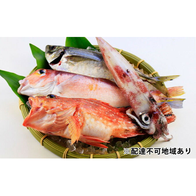 【ふるさと納税】萩産　鮮魚セット　【魚介類・のどぐろ・セット】