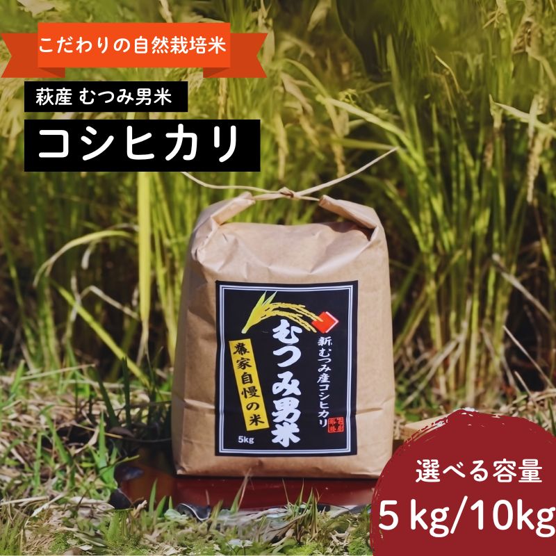 【ふるさと納税】自然栽培 むつみ男米 白米 5kg～10kg