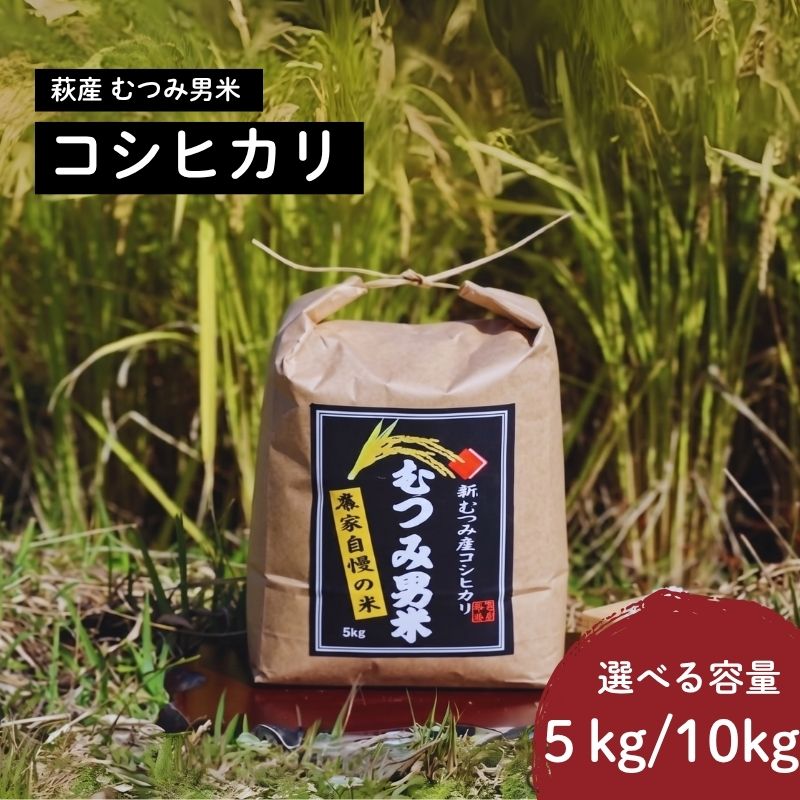 【ふるさと納税】選べる！むつみ男米 白米 5kg～10kg
