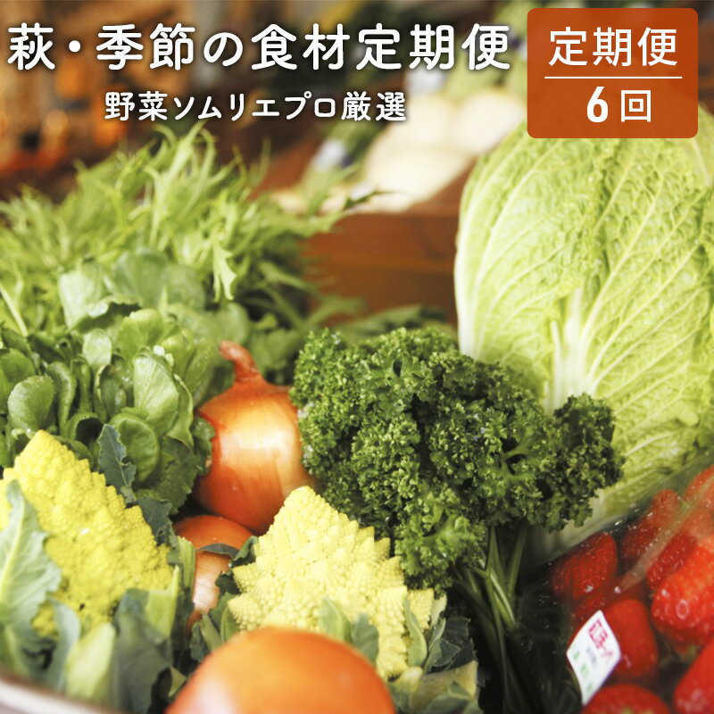 1位! 口コミ数「0件」評価「0」【野菜ソムリエプロ厳選】萩・季節の食材定期便【6回コース】　【定期便・セット・詰合せ・野菜・野菜セット】