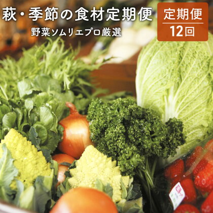 野菜セット 定期便 12ヶ月 萩・季節の食材 野菜ソムリエプロ厳選 野菜 果物 加工品 セット 詰め合わせ お楽しみ　【定期便・ 萩市 】