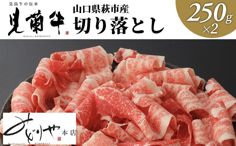 【ふるさと納税】【数量限定】山口県萩市産 見蘭牛 切り落とし 500g (250g×2)　【お肉・牛肉】