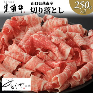 【ふるさと納税】【数量限定】山口県萩市産 見蘭牛 切り落とし 500g (250g×2)　【お肉・牛肉】