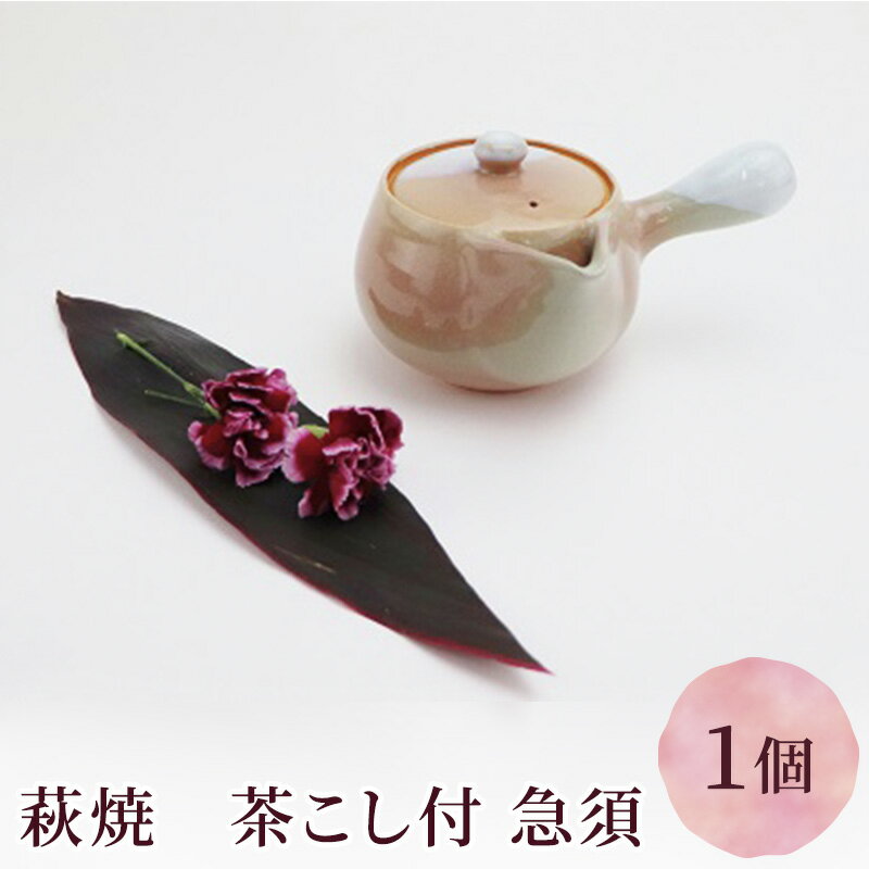 【ふるさと納税】萩焼 茶こし付 急須 【工芸品・民芸品】