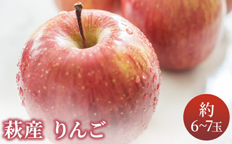 【ふるさと納税】リンゴ 詰め合わせ 萩りんご 萩産 季節の品種 約6～7玉　【果物類・林檎・りんご・リンゴ・果物・フルーツ】　お届け：2024年10月上旬～12月中旬